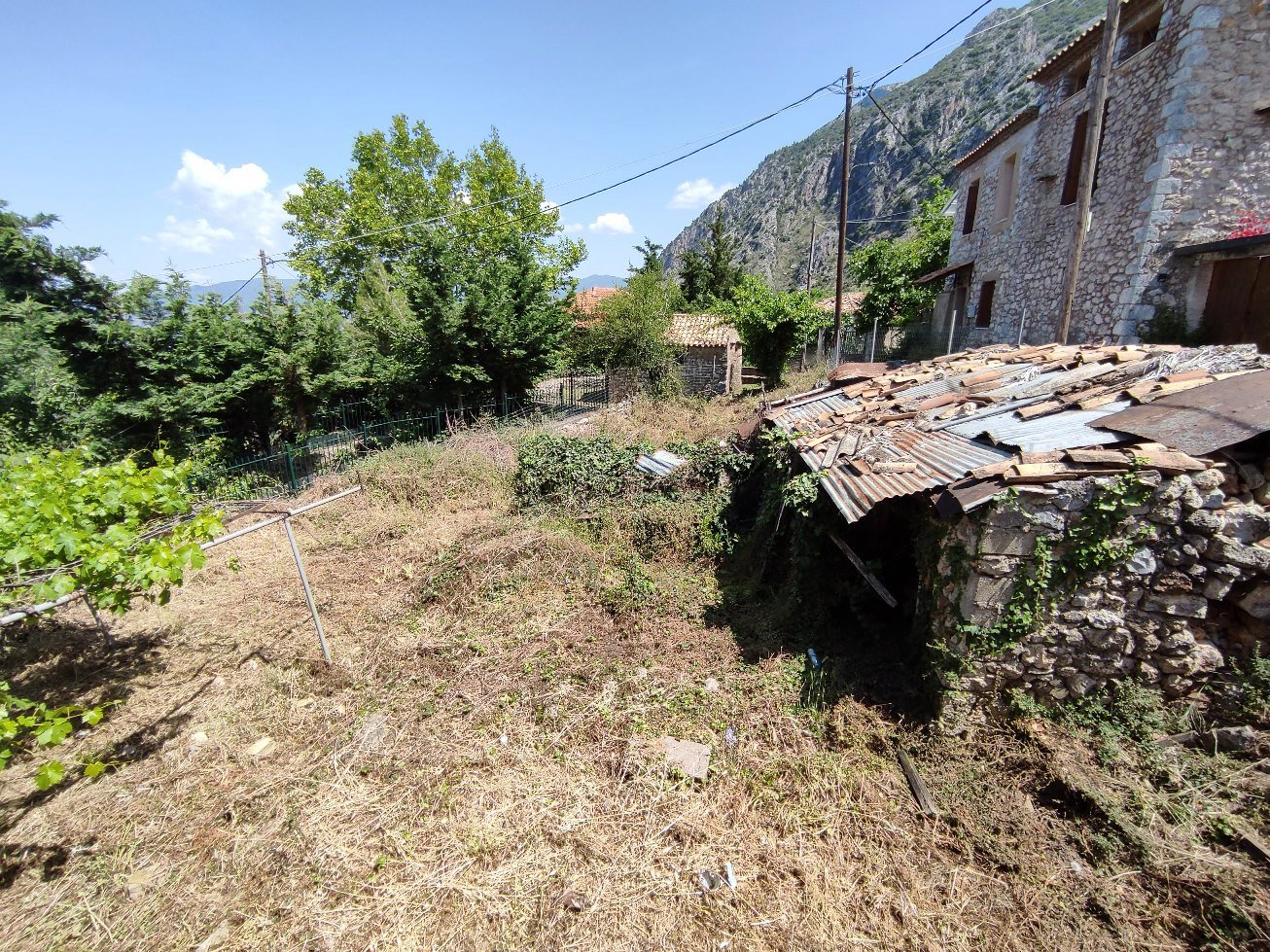 yard-stone-outbuildings-potential-guesthouse-verga-id342304.jpg Detached House – 156 m² – Kato Verga – Kalamata