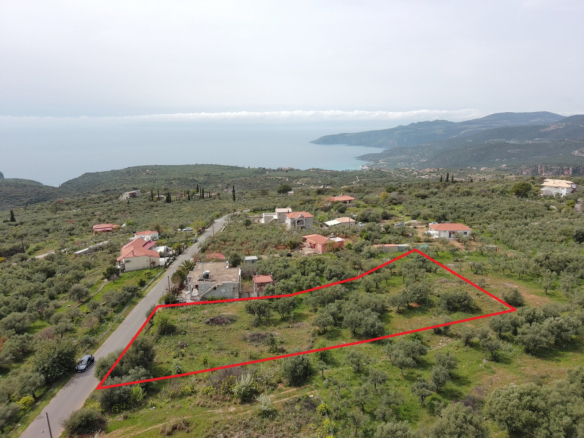 Οικόπεδο – 604,92 τ.μ. – Εξωχώρι – Λεύκτρος