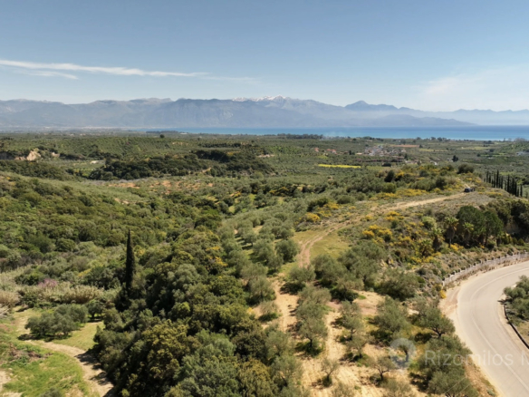 Στιγμιότυπο οθόνης της γκαλερί του ιστότοπου katoikiesrealestate.gr