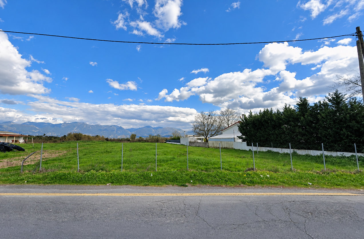 eva-messini-land-for-sale-provincial-road-frontage Οικόπεδο 10160 τ.μ. στην Εύα, Ανδρούσα, με πρόσβαση σε επαρχιακό δρόμο