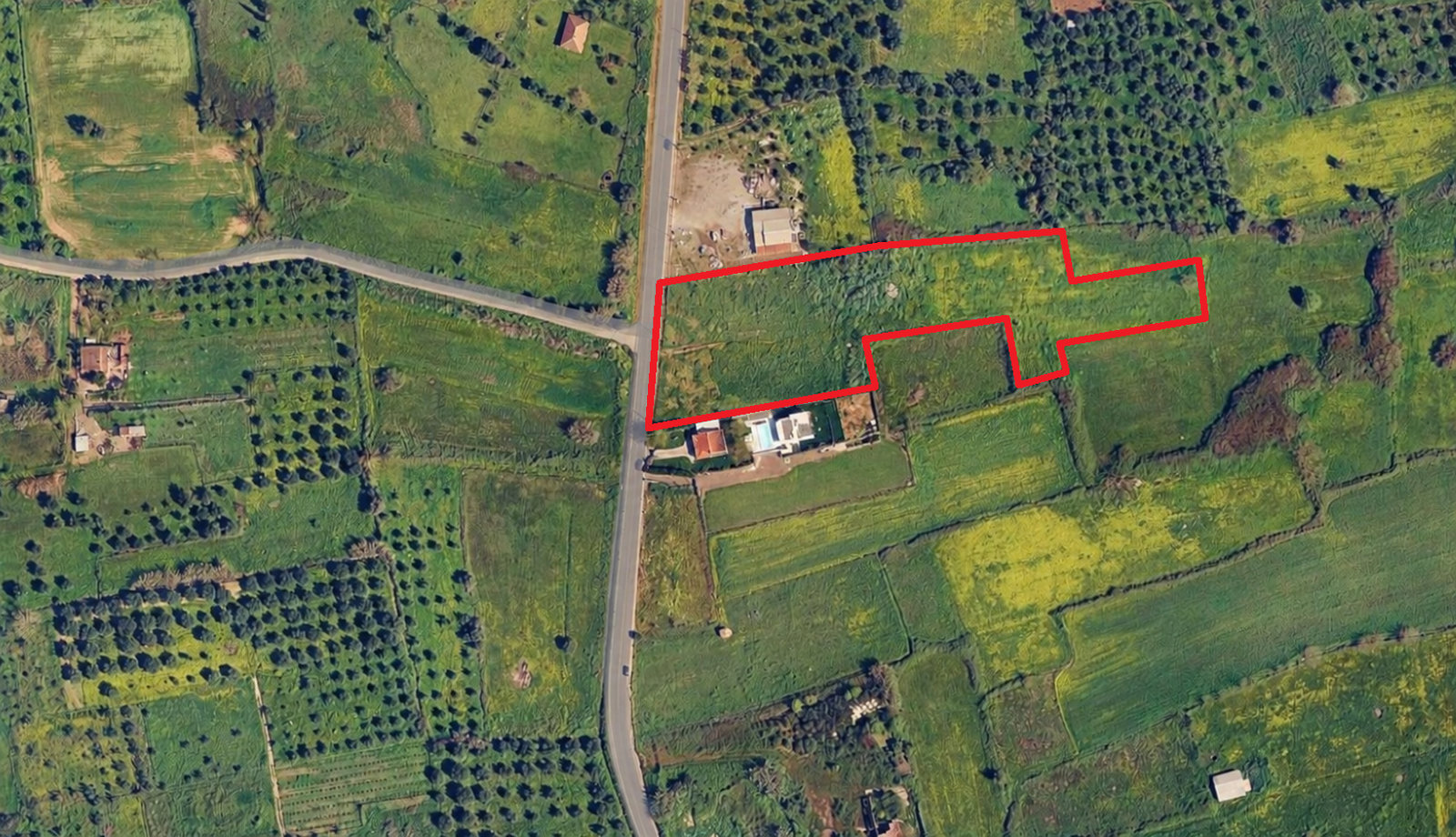 eva-messini-plot-10160sqm-aerial-boundaries Αεροφωτογραφία οριοθέτησης οικοπέδου 10160 τ.μ. στην Ανδρούσα, Εύα